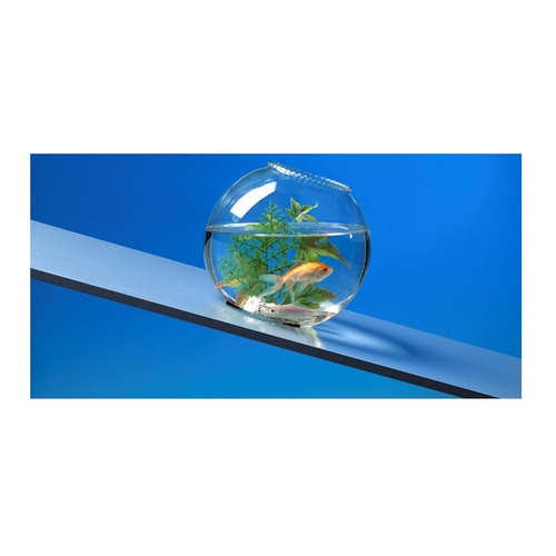 DESLIZADOR ADHESIVO ESPUMA Ø17MM INOFIX