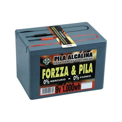 PILA FORZZA ALCALINA 9 V. 1000 W. HORA
