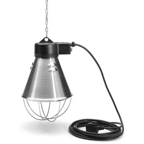 PORTALAMPARAS C/PROTECTOR Y CADENA 5M MG2099