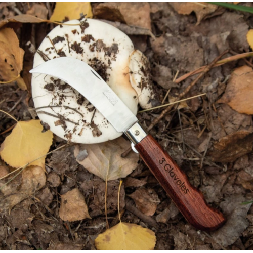 NAVAJA ACERO INOX RECOLECCION Y SETAS CON BLOQUEO 3 CLAVELES