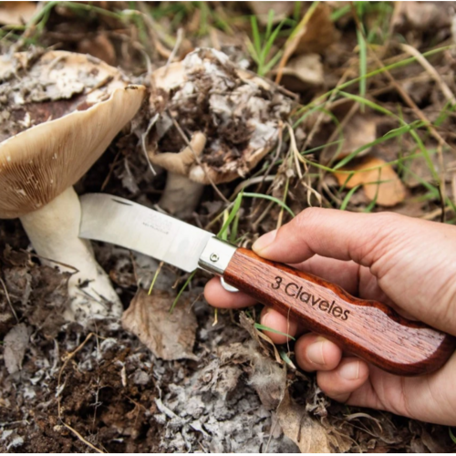 NAVAJA ACERO INOX RECOLECCION Y SETAS CON BLOQUEO 3 CLAVELES