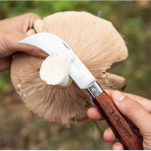 NAVAJA ACERO INOX RECOLECCION Y SETAS CON BLOQUEO 3 CLAVELES