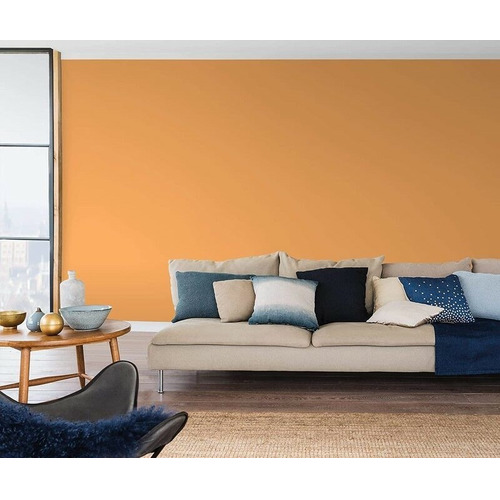 COLORES DEL MUNDO INDIA MELOCOTON NATURAL 4L BRUGUER