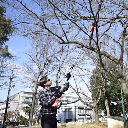 PODADORA BATERIA DPPF 310 ECHO