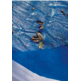 GRE CUBIERTA ISOTERMICA PARA PISCINAS DE ACERO OVALADAS 730X375CM CPROV730