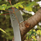 MACHETE HACHA Solid™ CON SIERRA F1051236 FISKARS