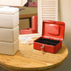 CAJA DE CAUDALES ELEGANT ROJA CON LLAVE ARREGUI