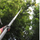PERTIGA TELESCOPICA HAYAUCHI 4 EXT 2.4M-6.30M SILKY