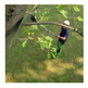 PERTIGA TELESCOPICA HAYAUCHI 2 EXT 2.28M-3.70M SILKY