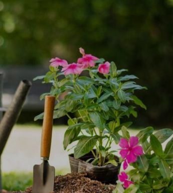 Jardinería - Construfer